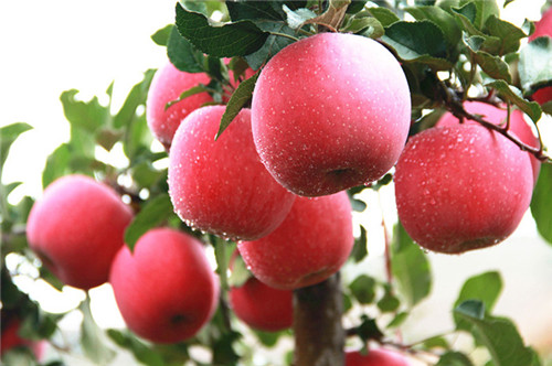 推荐三处红色研学旅行景点,研学红色旅游线路怎么设计