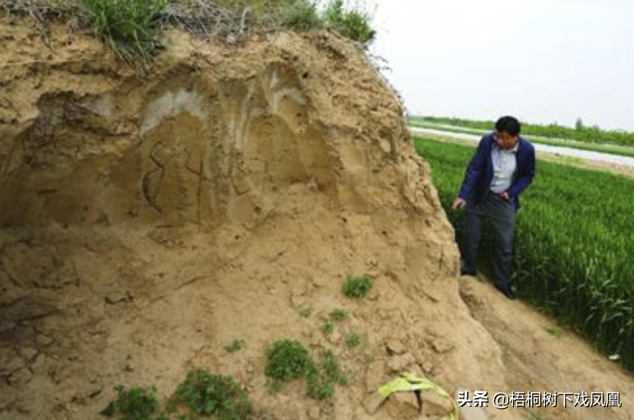 邀请去山东盗墓，“保底赚10万”，一网友动心了，见面后不敢干了