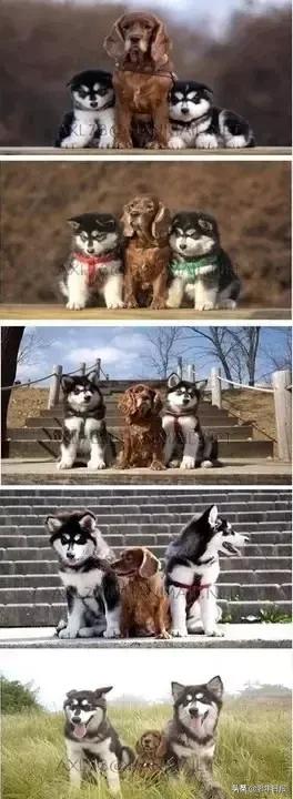 朋友圈最火的6张图片道破人性,朋友圈最火的4张图片道破人性