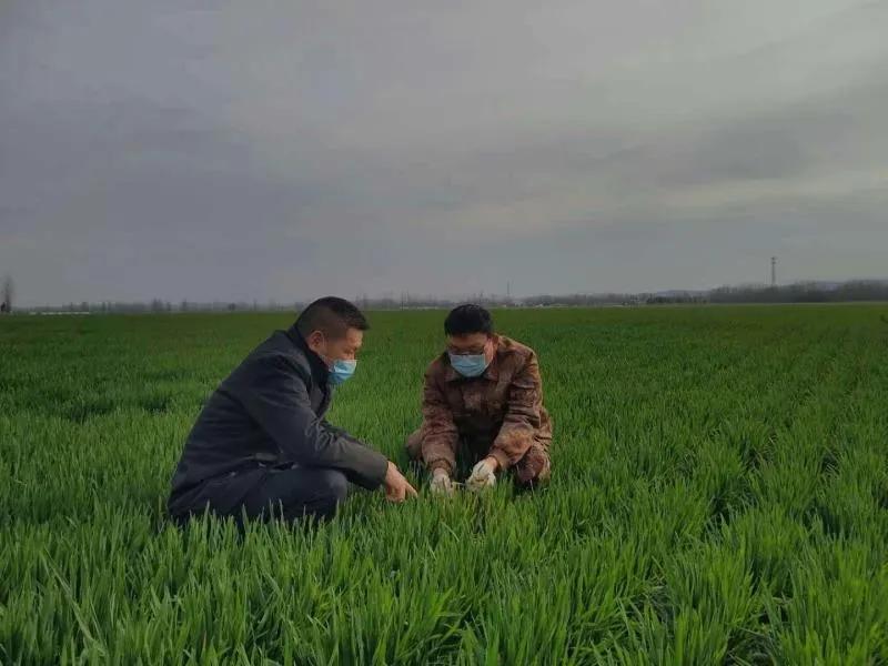 襄阳樊城区蔬菜配送,武都38元蔬菜包