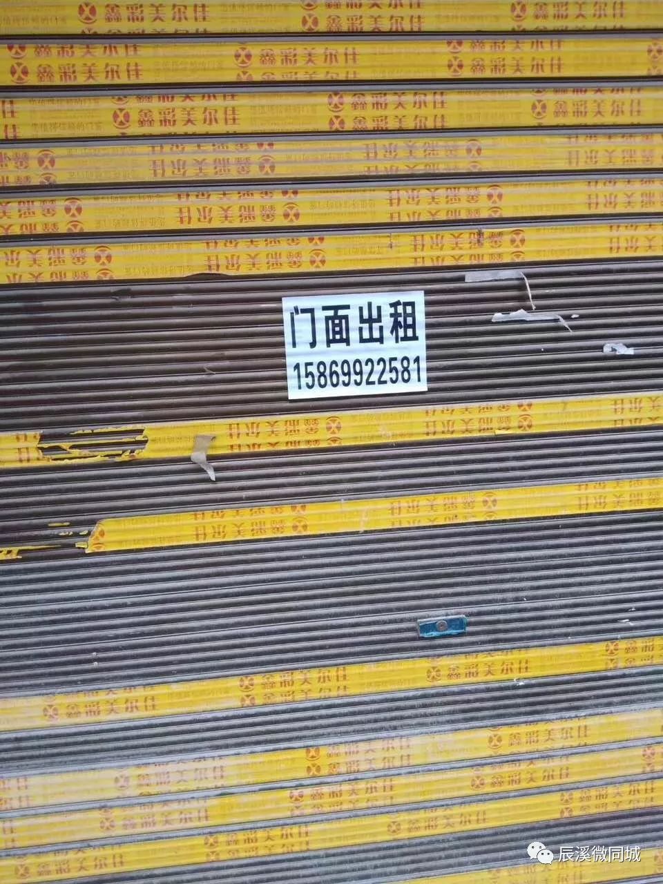 辰溪房地产招聘,辰溪招聘社会工作者