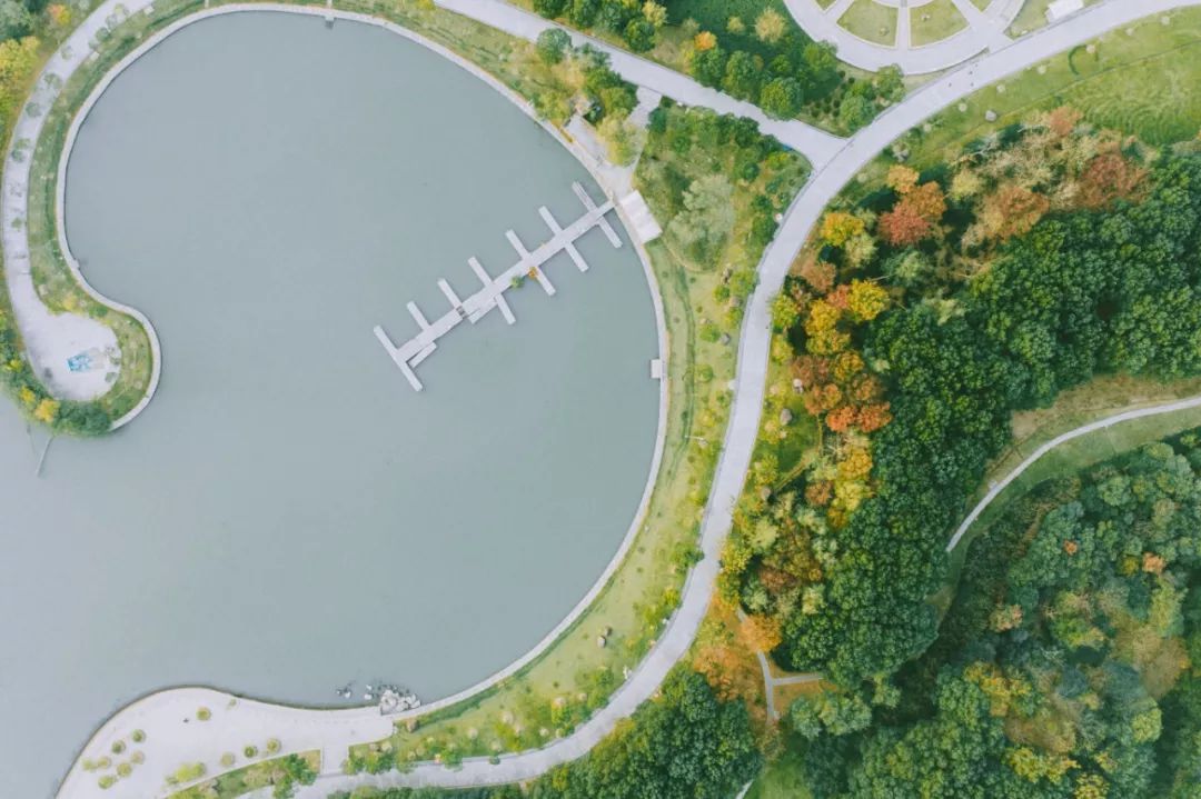 你一定没见过这样的新中式,东方绿舟特点