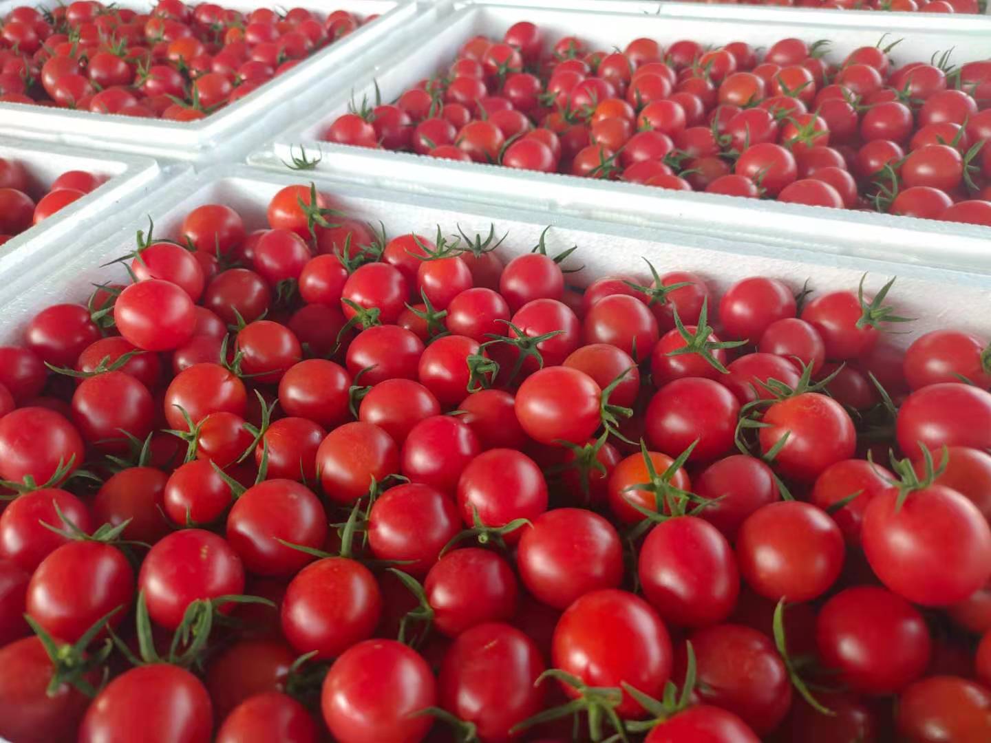 过年吃胖了怎么办？管住嘴+迈开腿，*管双**齐下！