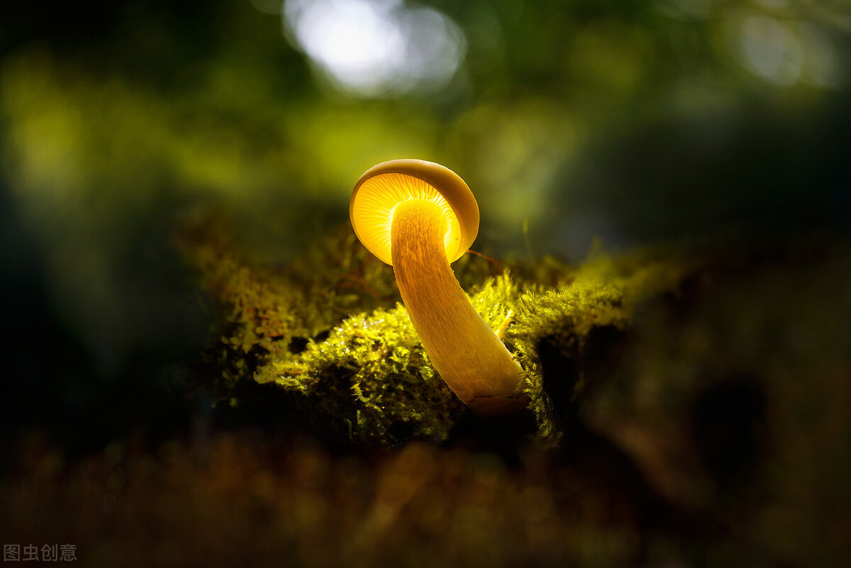 墓地贷合法吗,墓地贷人民网