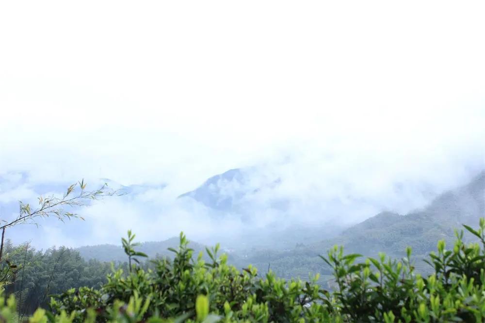 黑茶印象,安化黑茶独特的地形