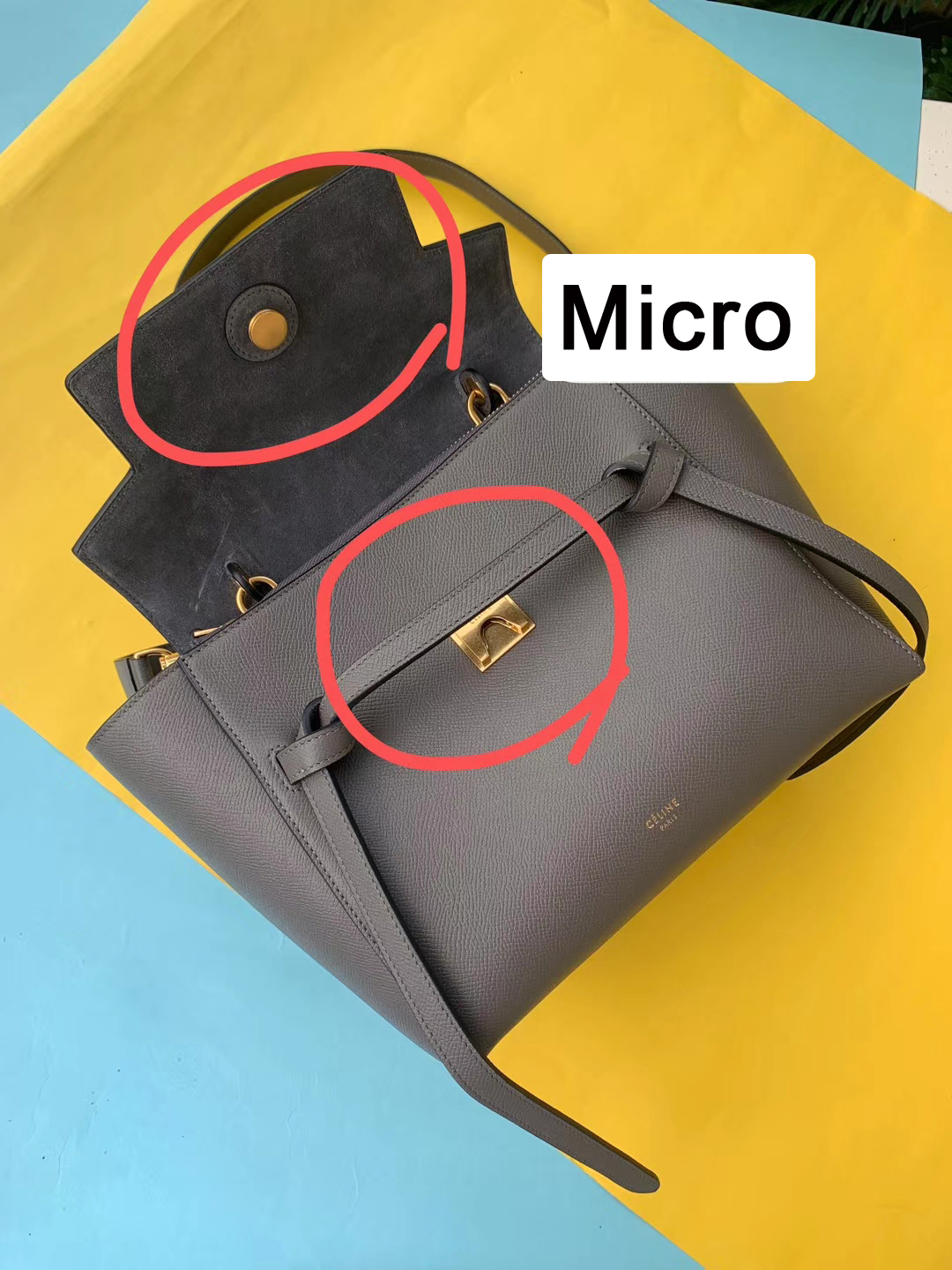 Celine鲶鱼Nano与Micro对比，选择建议