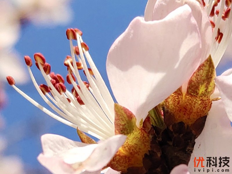 iqoo手机性能发挥到极致,最值得买的全新iqoo手机