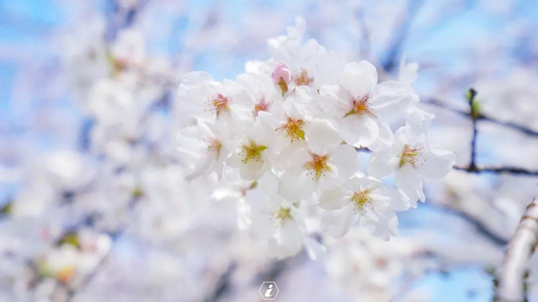 聊城姜堤乐园的门票是多少钱,姜堤乐园玻璃桥