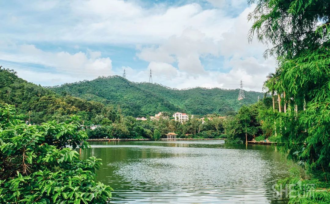 罗湖区的名气大吗,带你了解罗湖