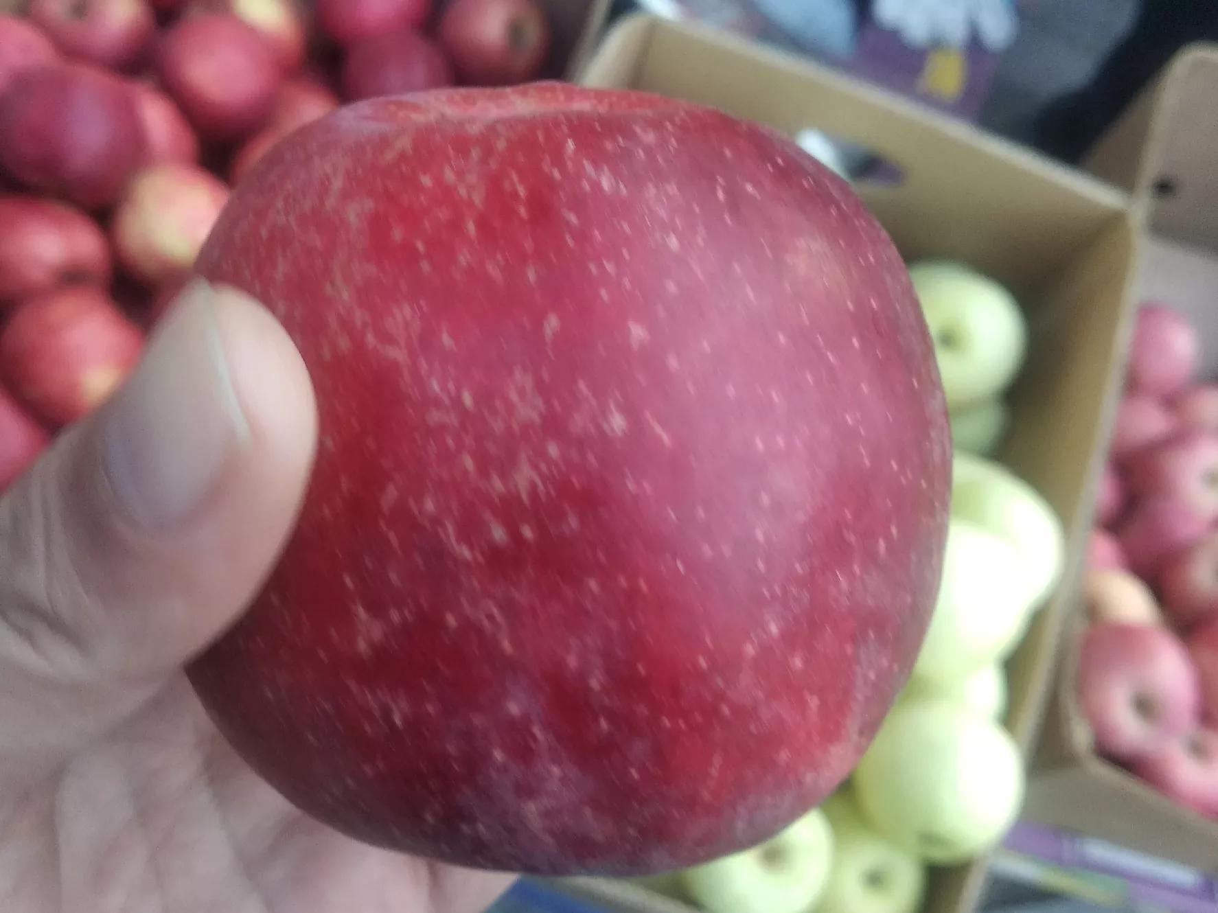 苹果应该买哪种品种,买苹果选哪种好吃