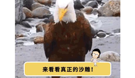 手机进水放进米缸里真的管用吗,手机进水放进米缸有用吗