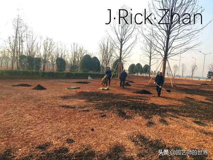 果岭草坪的种植养护方法及技巧,怎么种植一个可以躺的草坪