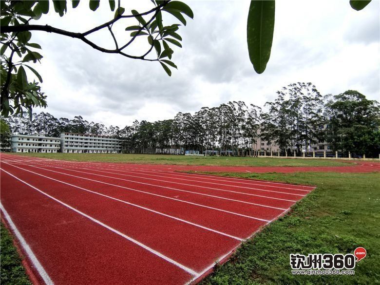 钦州高校,好消息高校招生