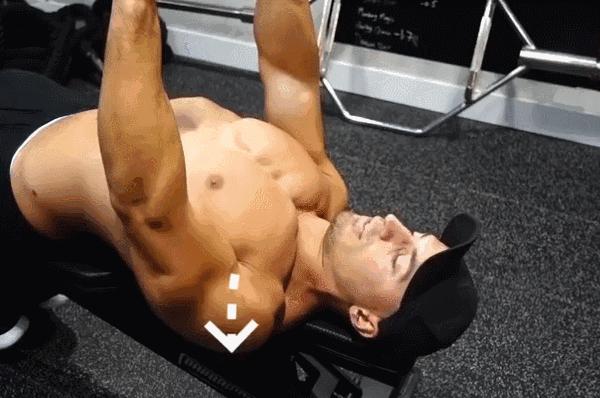 一副哑铃练遍全身肌肉新手,哑铃锻炼全身肌肉视频