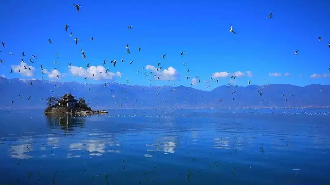 旅居昆明邂逅浪漫滇池,昆明滇池环线一日游