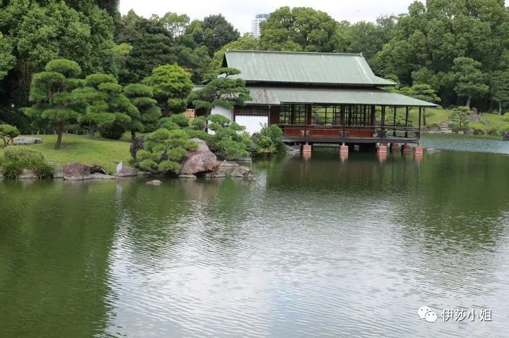 不看樱花能不能进武大,看樱花不一定要去日本的说说