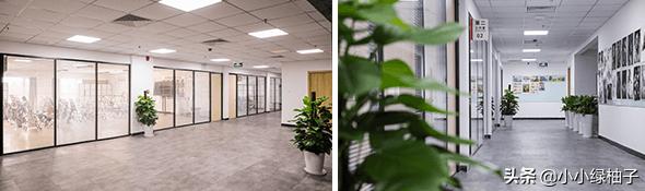 重庆美术生联考多少分过线,江西美术生联考多少分过线