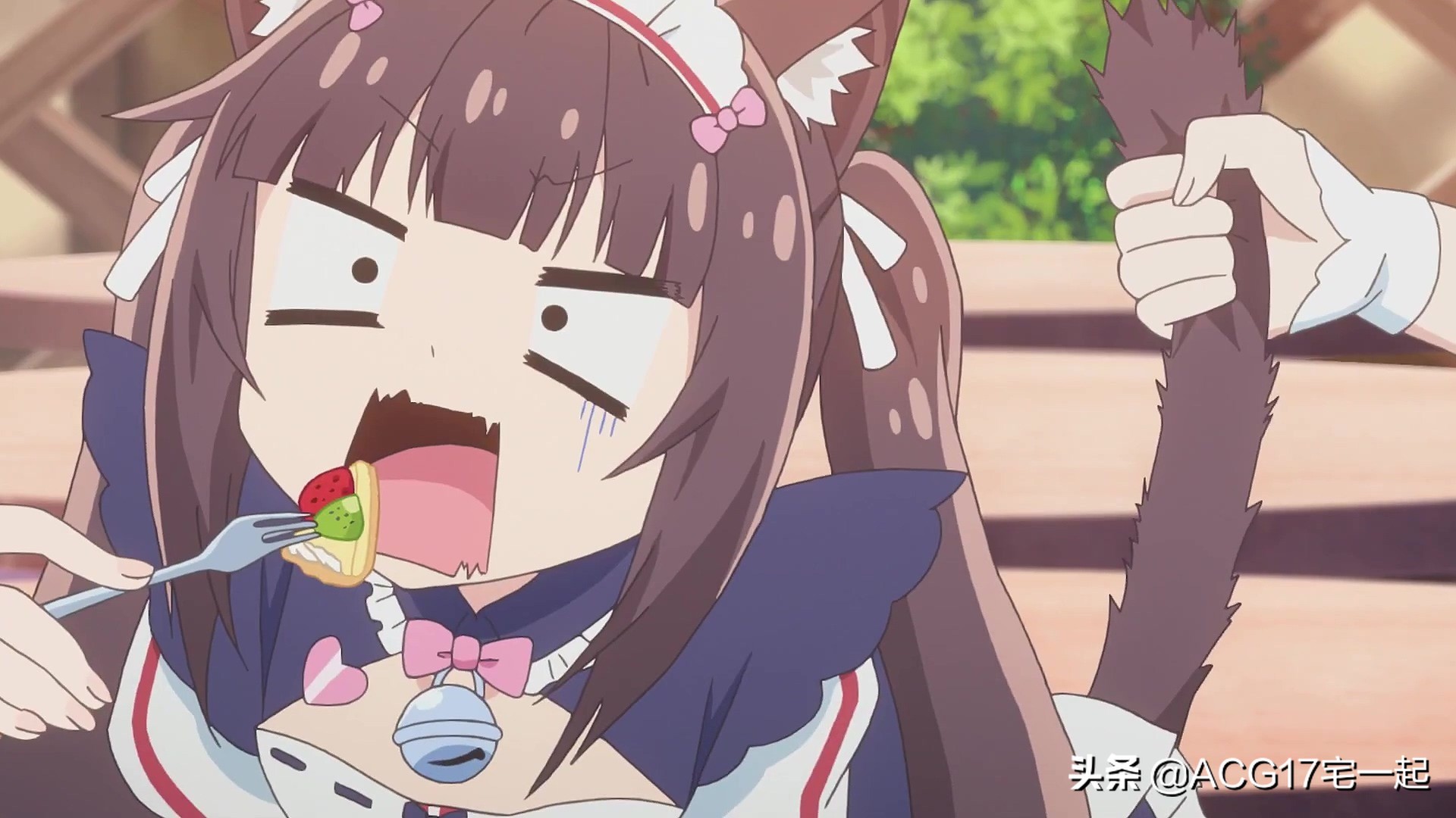 又要吸猫啦！《巧克力与香子兰》TV动画化決定！特报影像公开