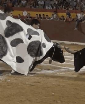 被牛角顶了是什么感觉,被牛角顶了是什么样