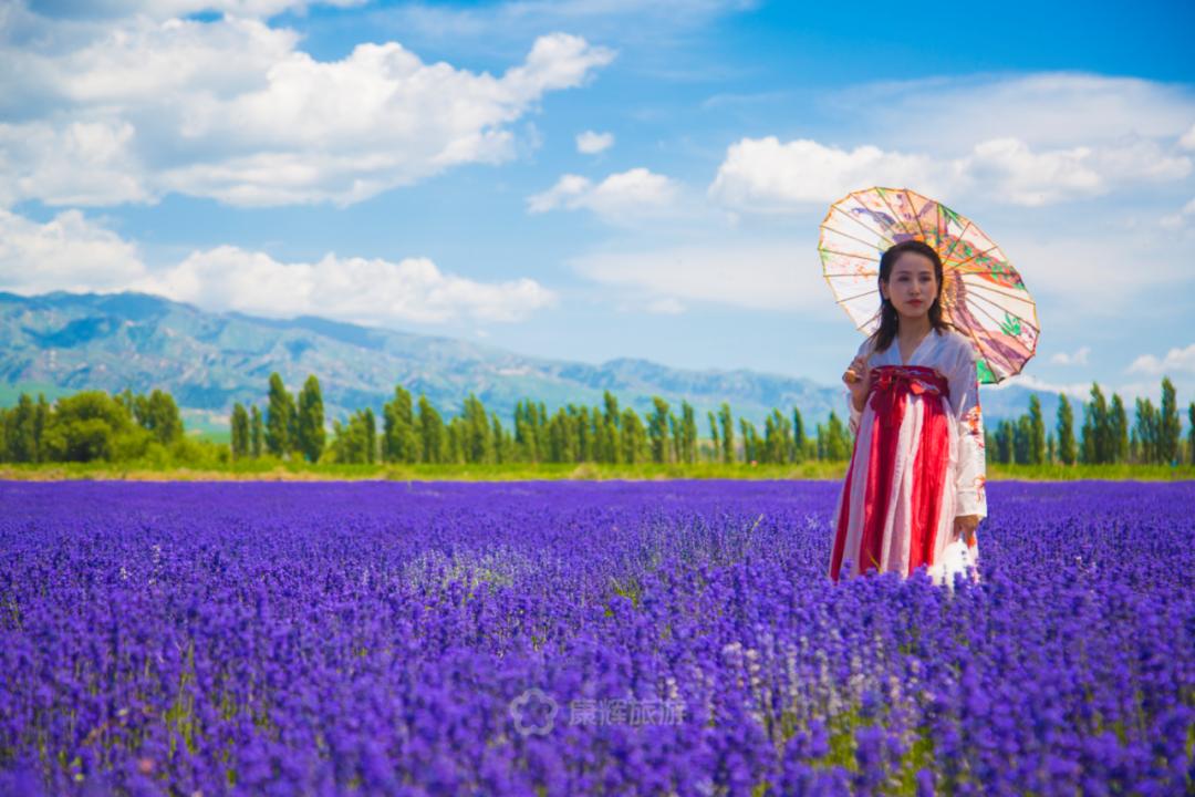旅行中的故事讲述,旅行过程中的故事