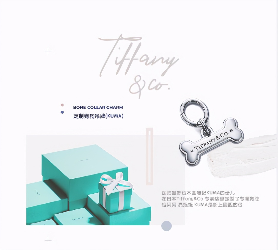 jennie应援中国粉丝 (jennie中国粉丝生日应援)