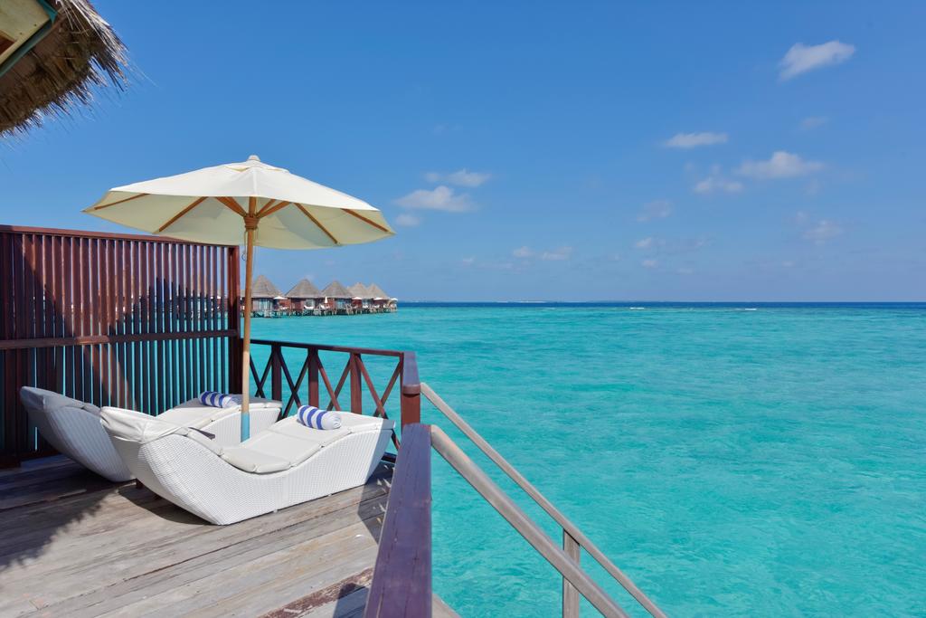 马尔代夫蕉叶岛游记,马尔代夫蓝色美人蕉岛的游记