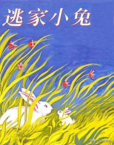 桥形图思维导图绘本,思维导图讲绘本