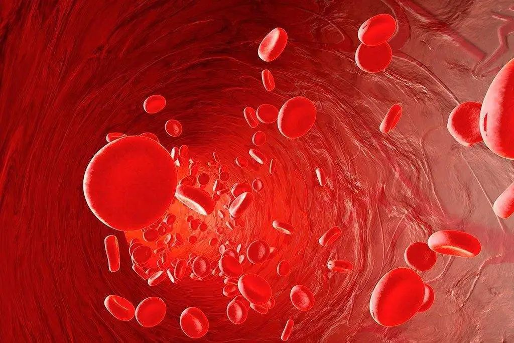 一代重生｜氦氖雷射—血液垃圾清洁工无痛见效快