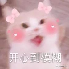 年货干货推荐,郑州值得买的年货