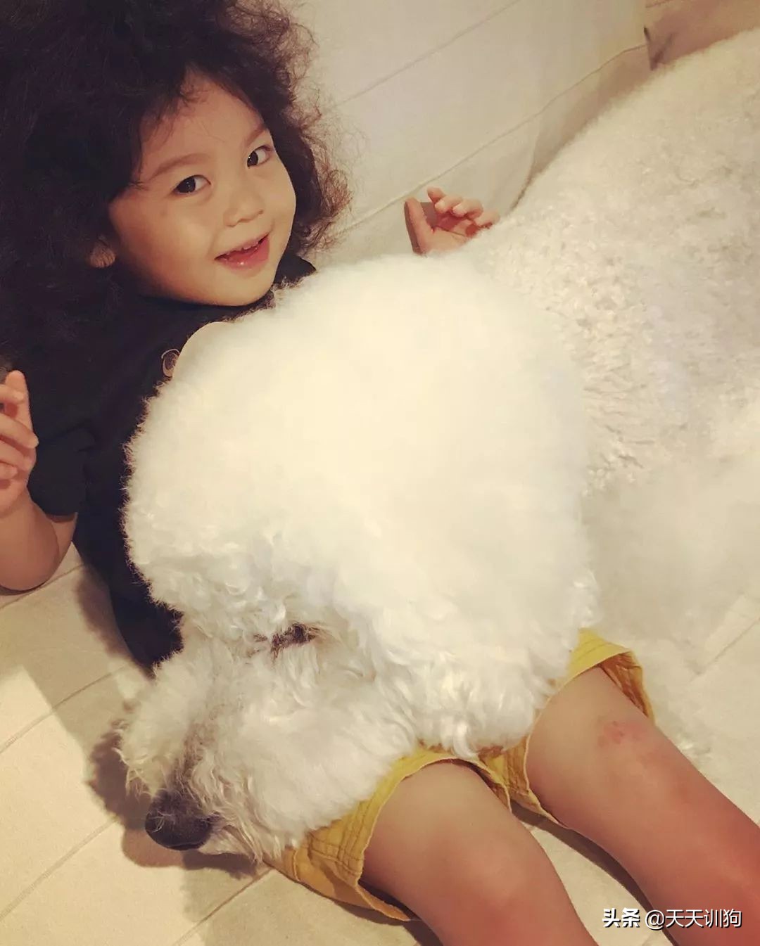 谁说怀孕要送走狗狗？如今狗狗成了孩子专属保镖啦