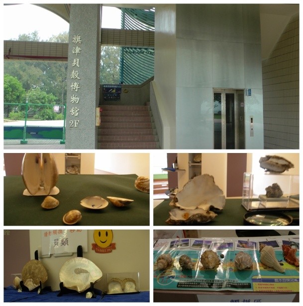 台湾环岛8日旅游路线攻略,台湾环岛8日跟团游攻略