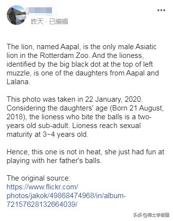 母狮一天发情40次,还追着公狮咬蛋蛋?根本不是这样啊....