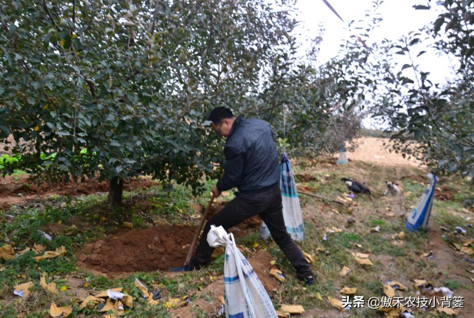 如何区别化肥硫酸铵和氯化铵,如何分辨硝酸铵尿素和碳酸氢铵