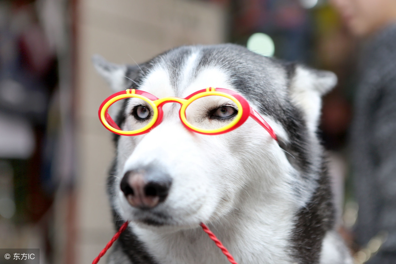 儿童真性近视100度以内如何缓解,11岁近视100度怎么缓解