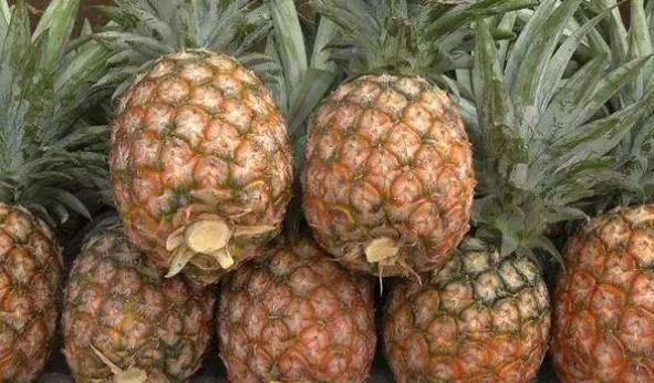 云南河口中越边境旅游,云南边陲河口美丽的风光