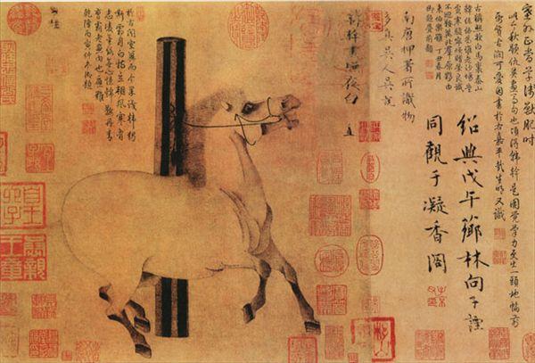 汗血宝马战神是一匹有故事的马,一匹纯种好的汗血宝马值多少钱