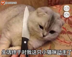 穿越火线2020年12月福利,穿越火线1月福利领取码