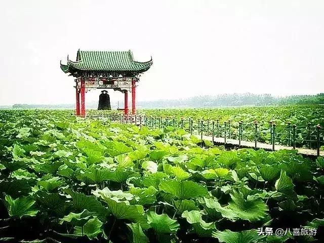 山东夏天值得去的旅游景点,夏天适合去的湖泊