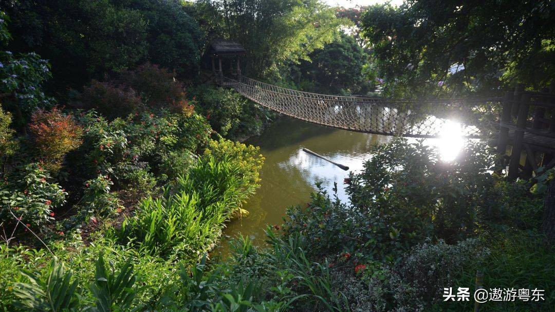 深圳南山区青青世界视频,青青世界深圳热带雨林