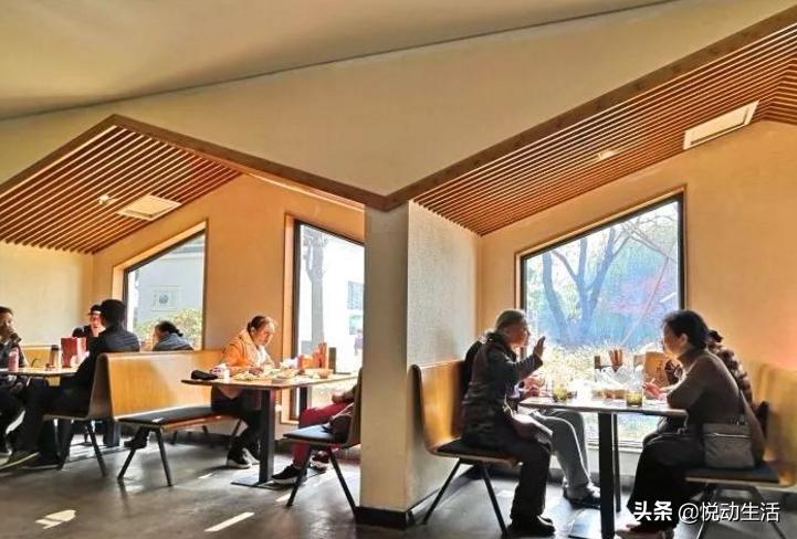 《安家》剧终，严叔严婶新家怎么样？张乘乘生活幸福么？