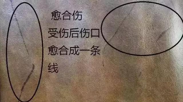 牛皮上有疤痕,做成真皮沙发时怎么补救?