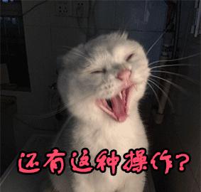 上海历史上最悠久的小学,上海最老的中学前十名