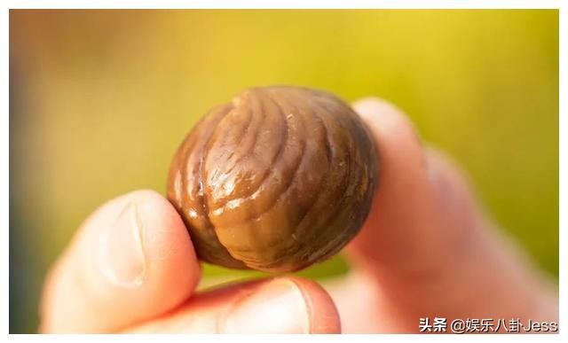 在李佳琦直播间买东西真的划算吗,李佳琦直播间买东西会便宜吗