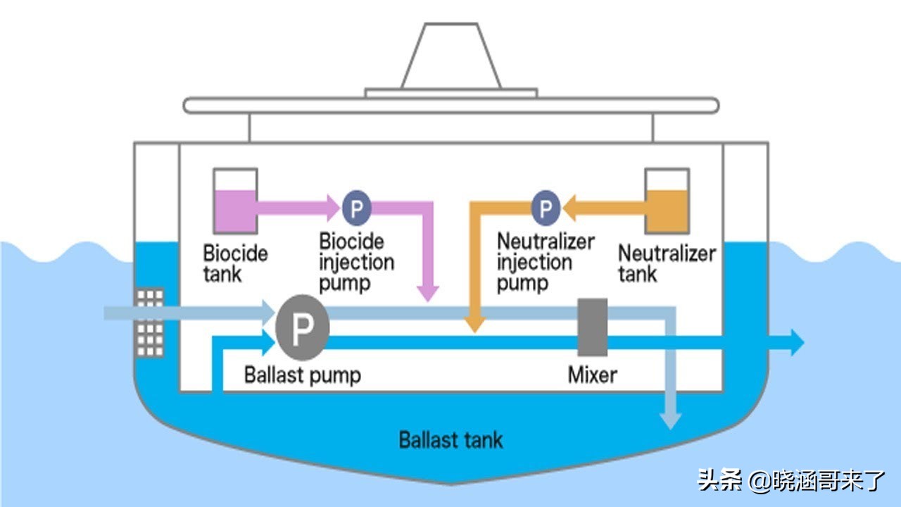 韩国世越号为什么学生不弃船,中国救援韩国船世越号发现了什么