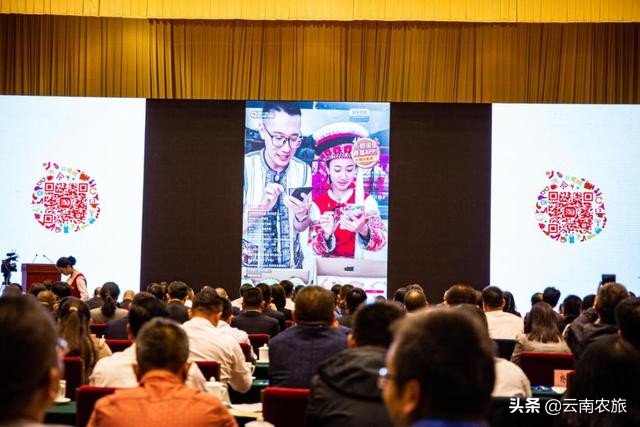 云南名贵特产排名前十名,云南十佳茗品