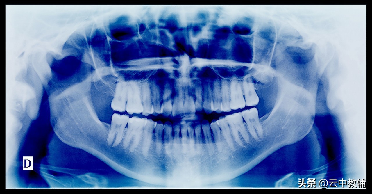 高中物理化学生物推荐,高中物理化学生物数学顺口溜