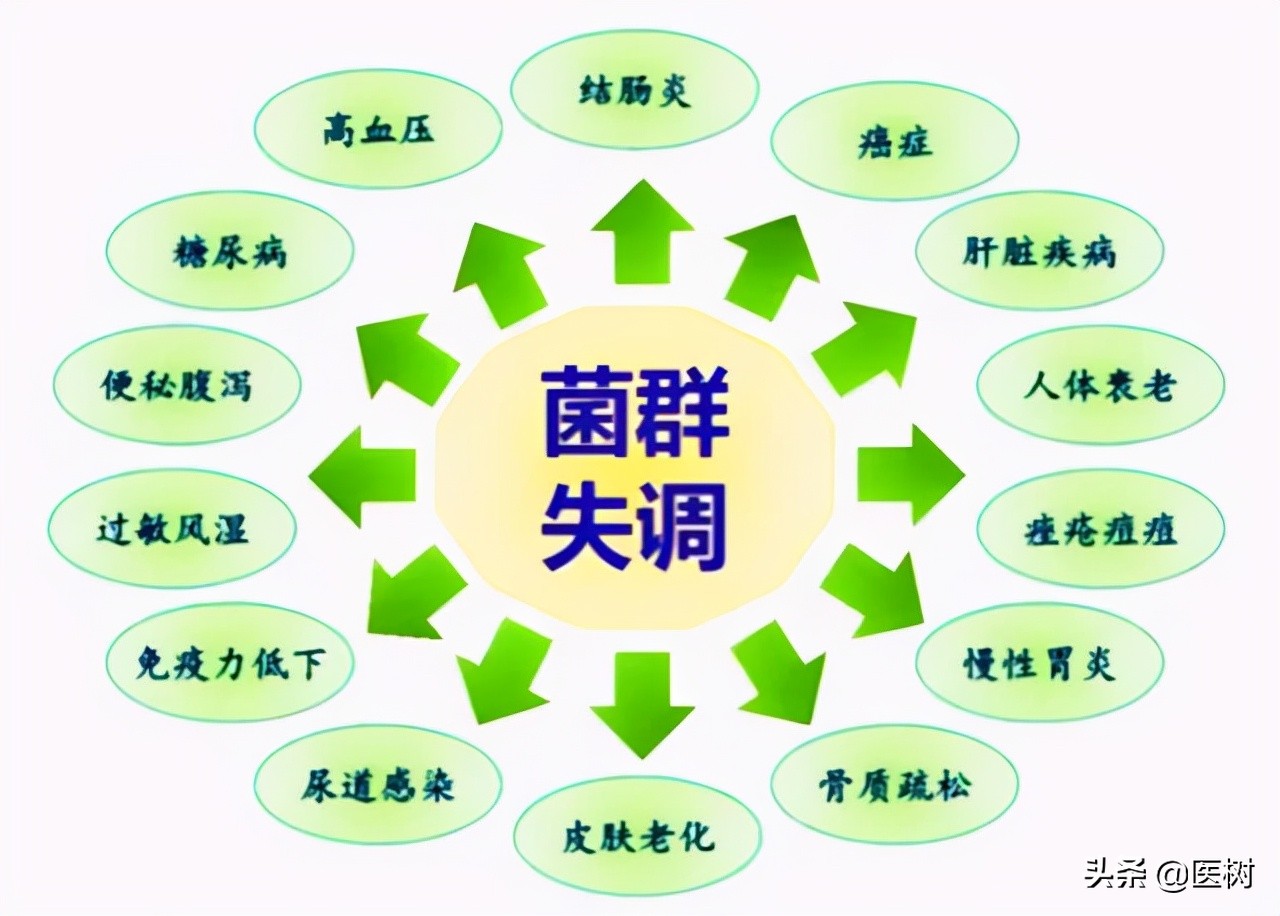 益生菌为什么比较贵,益生菌的好评越来越多