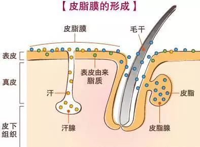 舔舔舔!唇炎找上门来怎么办?!