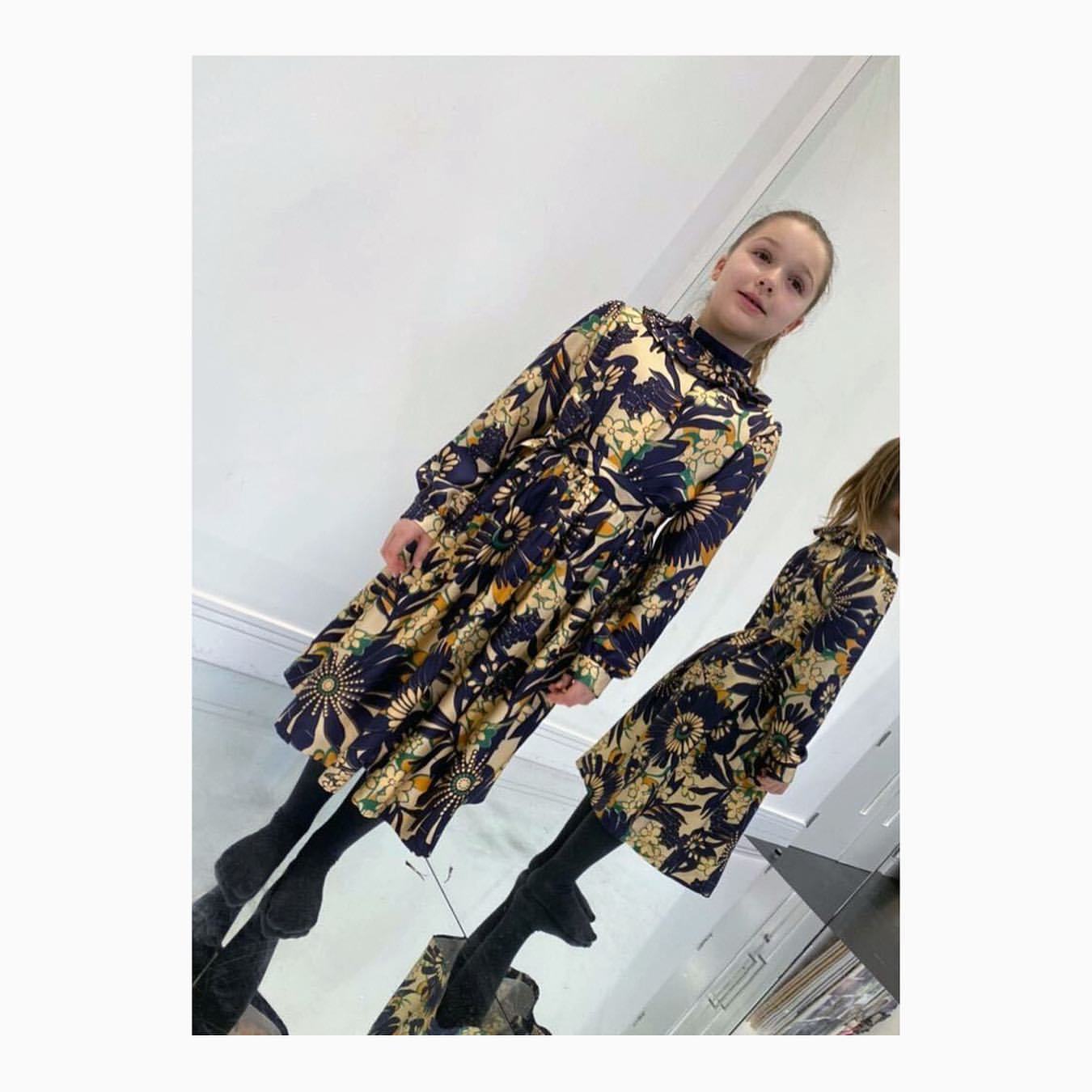 小七变胖了,小七胖成啥样了