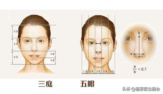 什么样的鼻子才算挺,什么样的鼻子才算有肉